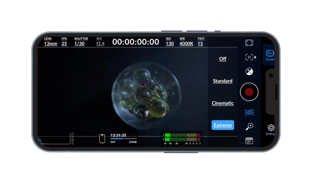 Blackmagic Camera Stabilizzazione Video